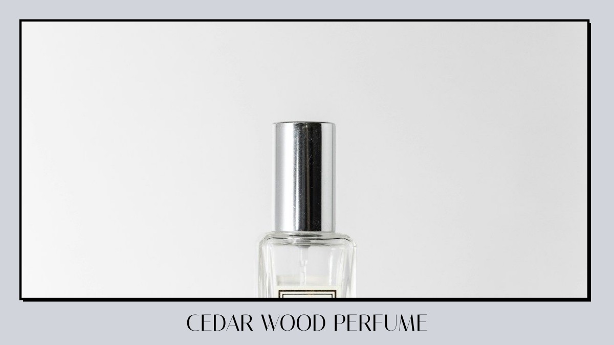 cedar wood perfume