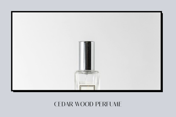 creamy woody scent