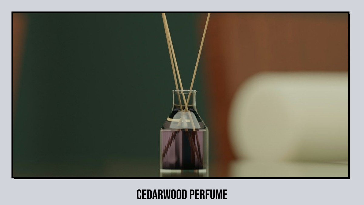 cedarwood perfume