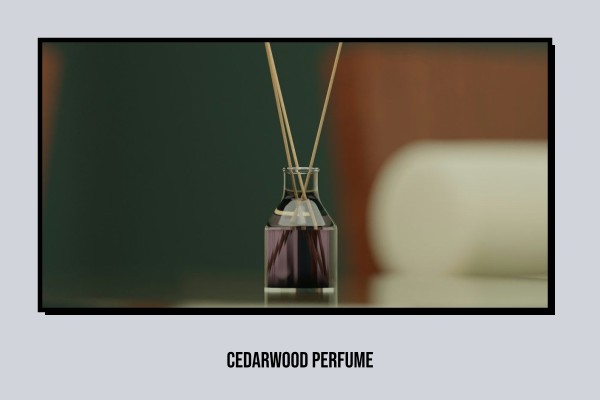 woody perfume