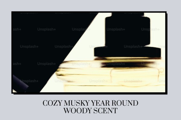 cozy musky year-round woody scent