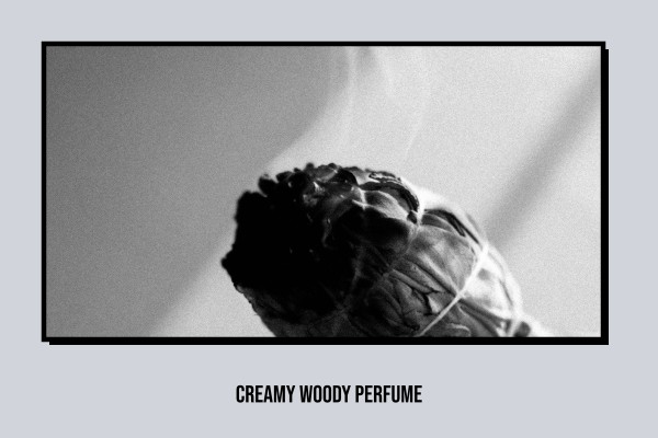 creamy woody perfume