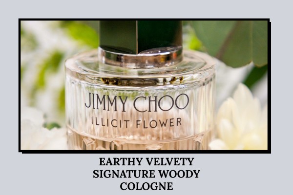 earthy velvety signature woody cologne