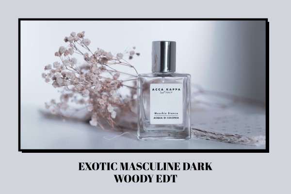 exotic masculine dark woody edt