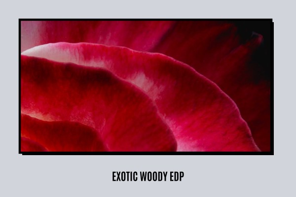 exotic woody edp