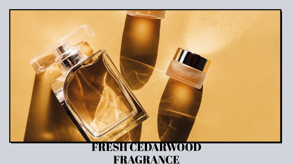 fresh cedarwood fragrance