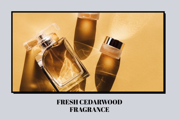 fresh cedarwood fragrance