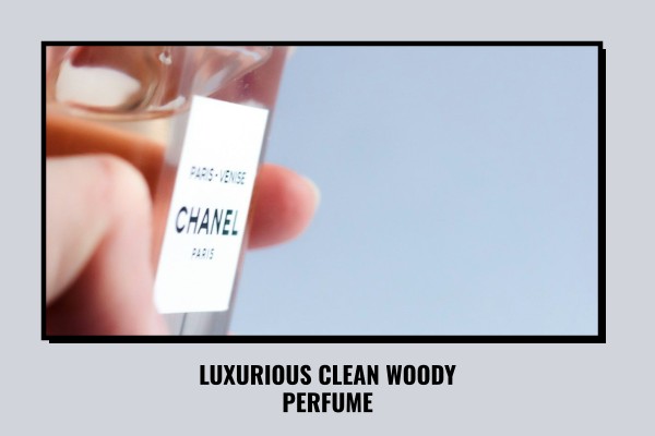 luxurious clean woody perfume