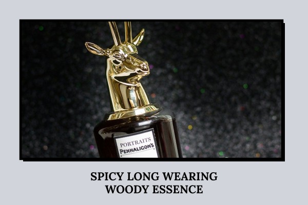 spicy long-wearing woody essence