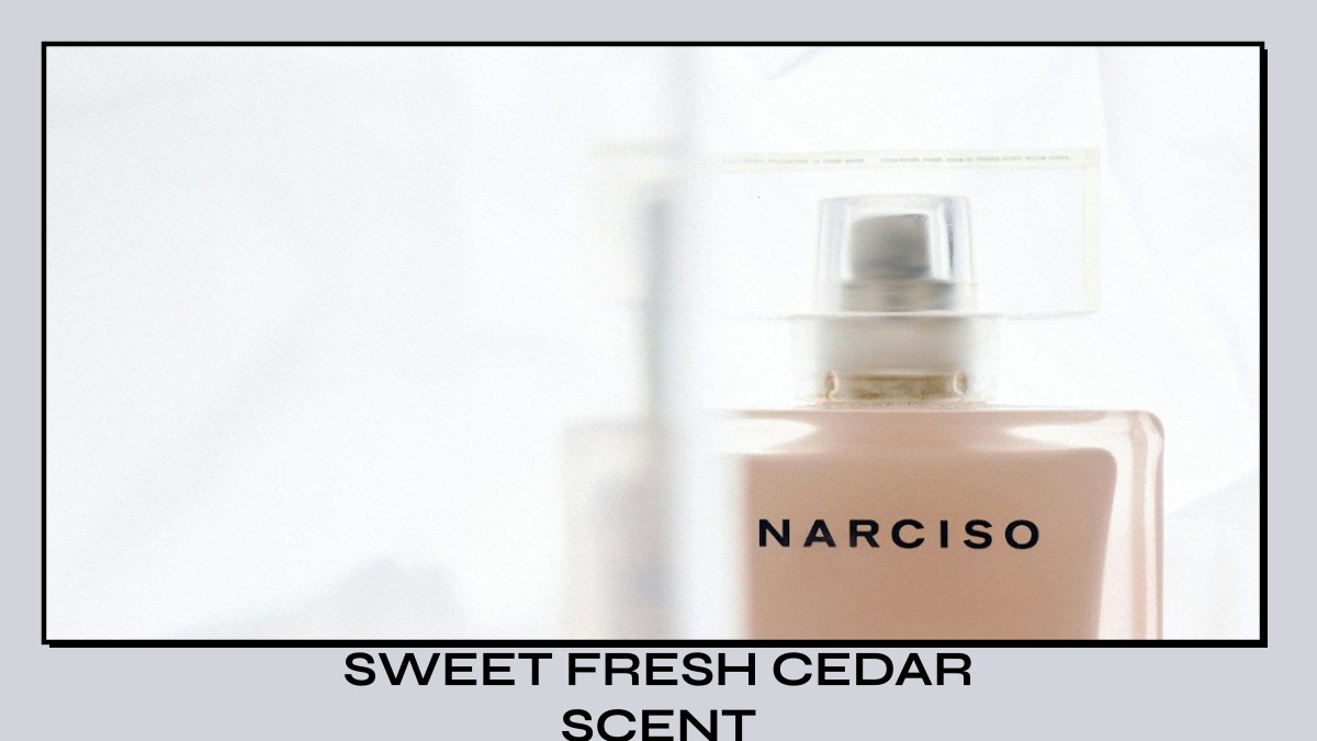 sweet fresh cedar scent