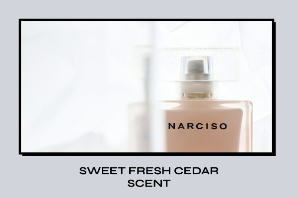 sweet fresh cedar scent
